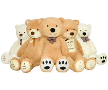 Tous les Ours en Peluche